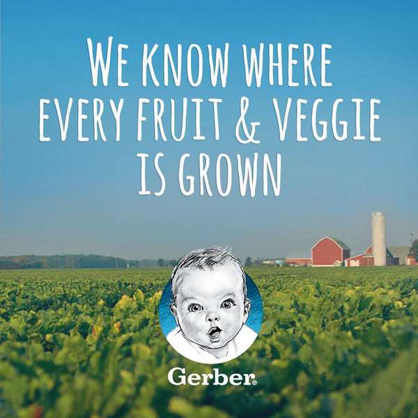 Gerber Gerber 2nd Foods Carrot Baby Food Kosher 4 oz., PK16 00015000076504